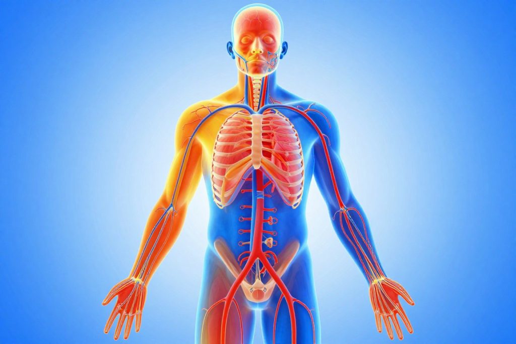 Thermische Effekte der Hydrotherapie auf den menschlichen Körper